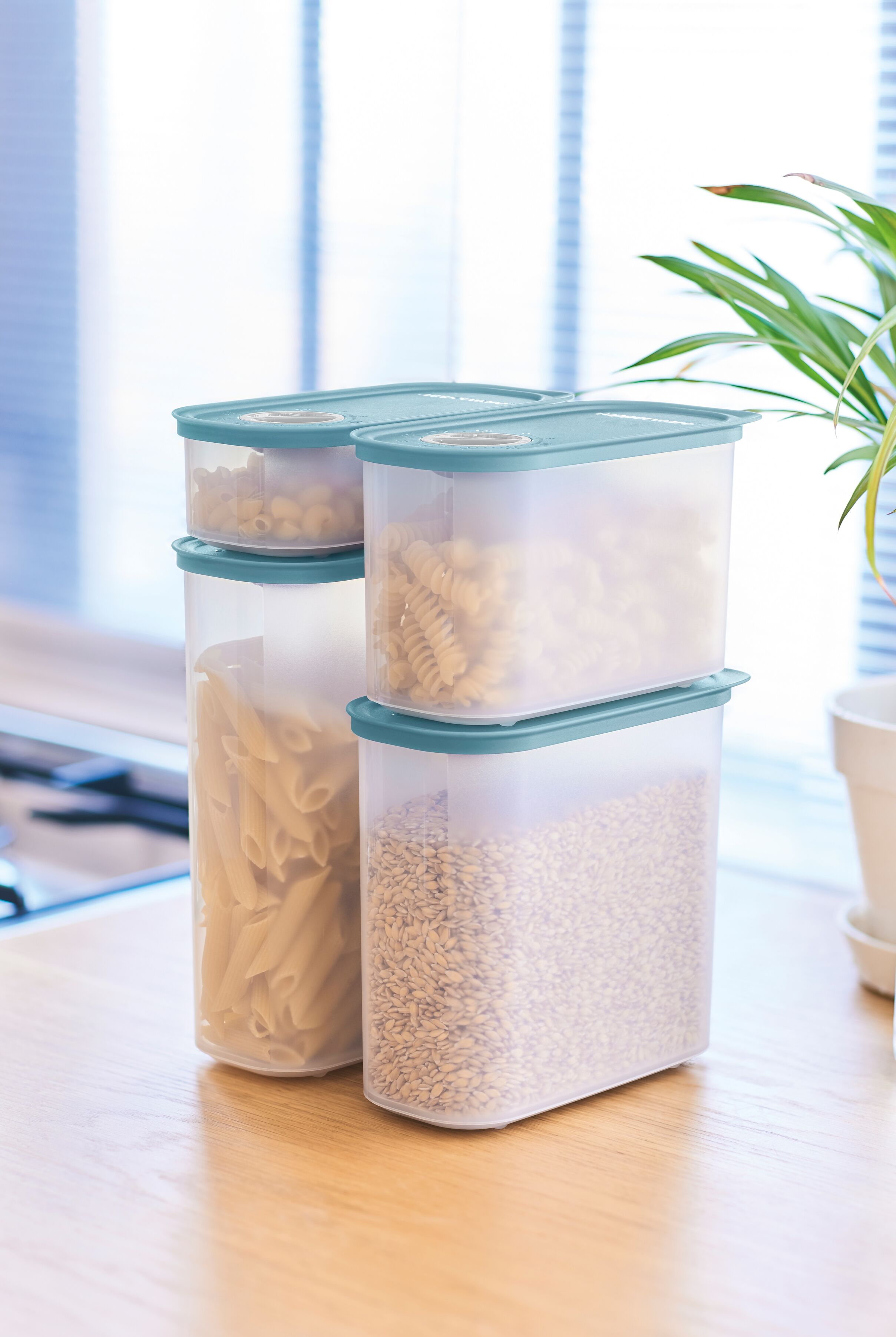 Timer Dry Storage Set (4)