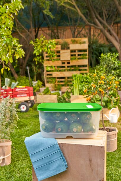 طقم علب ذكية للخضروات 800 مل 4.4 لتر (2)