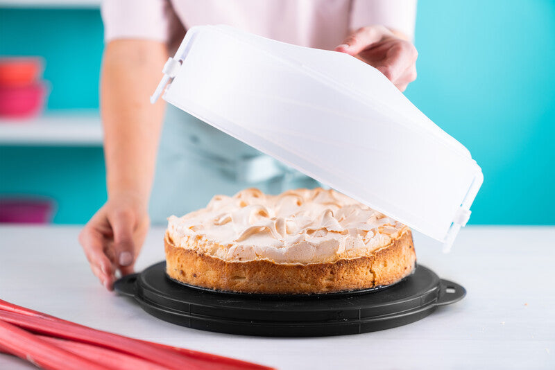 Expandable Cake Taker