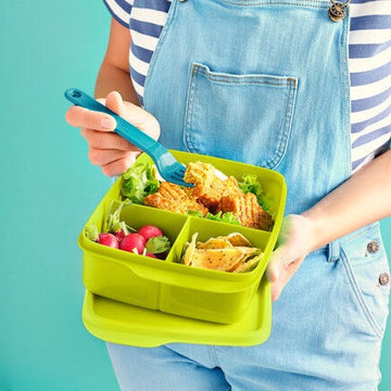 علبة مقسمة للسندوتشات 1 لتر