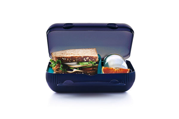 Tupperware Lunch Box 