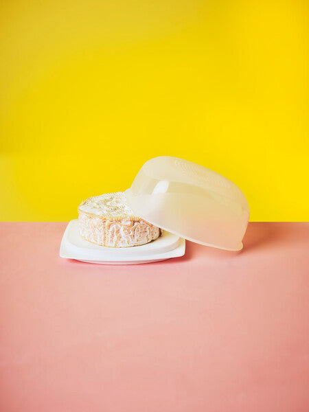 علبة ذكية للجبن