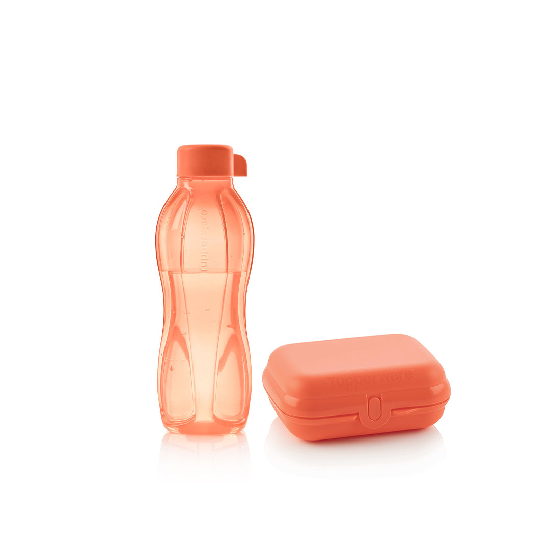 SET OF ECO+BOTTLE 500ML+ACC.OYSTER SMALL